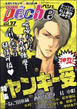 GUSHpeche　ヤンキー受　押忍！ [海王社]