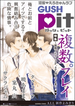 GUSHpit　複数プレイ～３Ｐ、４Ｐ、何人でも来いっ～ [海王社]