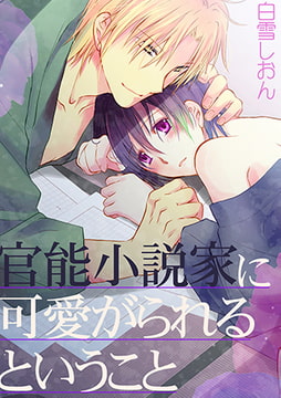 官能小説家に可愛がられるということ [CLLENN]