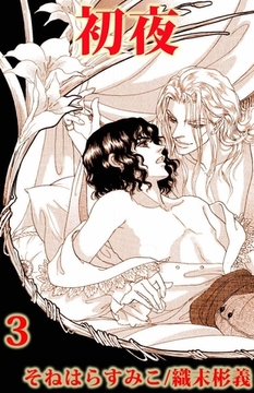 初夜（３） [ビーグリー]