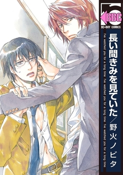 長い間きみを見ていた [リブレ]