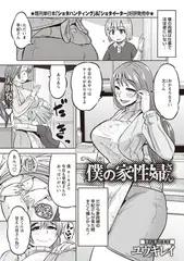 僕の家性婦さん