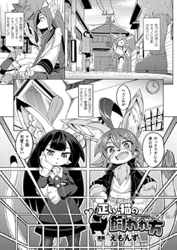 正しい猫の飼われ方【単話】 [キルタイムコミュニケーション]