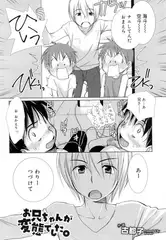 お兄ちゃんが変態でした。
