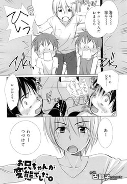 お兄ちゃんが変態でした。 [茜新社]