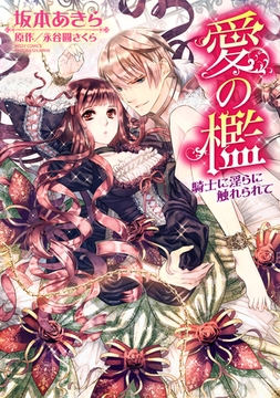 愛の檻　騎士に淫らに触れられて [宙出版]