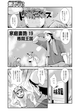 家庭妻艶 19 [メディアックス]