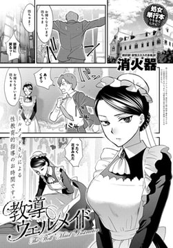 教導ウェルメイド [ジーオーティー]