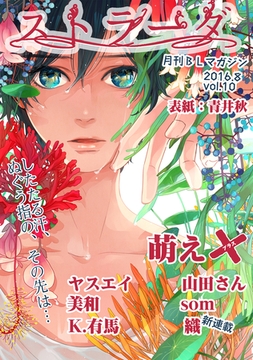 ストラーダ vol.10 [道玄坂書房]