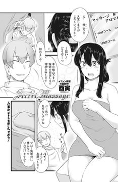 Secret Massage [辰巳出版]