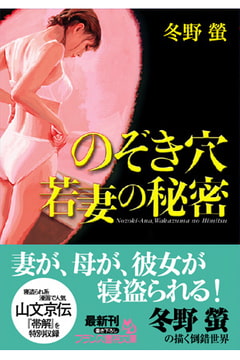 のぞき穴 若妻の秘密 [フランス書院]