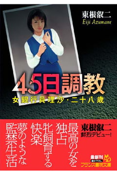 45日調教 女銀行員理沙・二十八歳 [フランス書院]