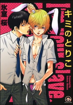 キミのとりこ [海王社]