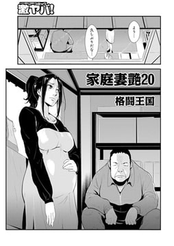 家庭妻艶20 [メディアックス]