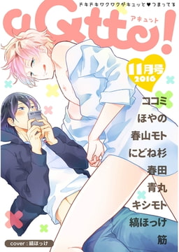 aQtto！ 2016年11月号 [ジュリアンパブリッシング]