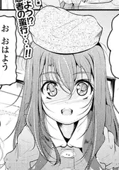 アヤの友釣り