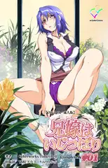 兄嫁はいじっぱり #01 Complete版【フルカラー成人版】
