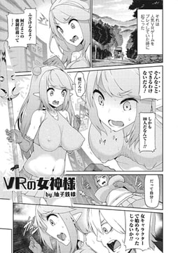 VRの女神様 [一水社]