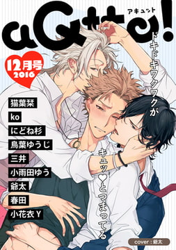 aQtto！ 2016年12月号 [ジュリアンパブリッシング]