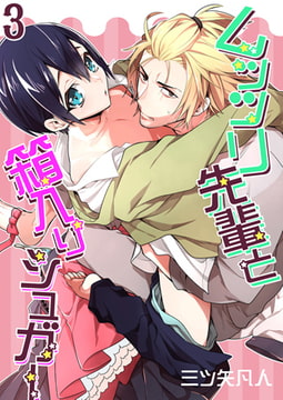 ムッツリ先輩と箱入りシュガー 3 [CLLENN]