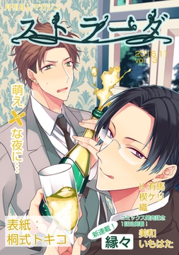 ストラーダ vol.13 [道玄坂書房]