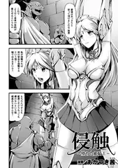 侵触～堕ちた姫騎士～【単話】