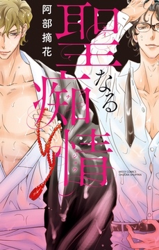 聖なる痴情 [宙出版]