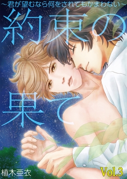 約束の果て～君が望むなら何をされてもかまわない～Vol.3 [Big Fields Publishing]