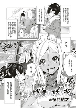 砂漠に咲く花 [ジーオーティー]