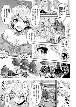 袋姫触辱【単話】 [キルタイムコミュニケーション]
