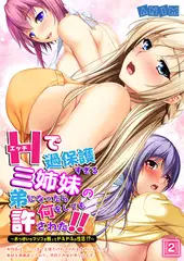 エッチで過保護すぎる三姉妹の弟になったら何をしても許された!! 〜おっぱいやアソコを触ってドキドキの性活!?〜 2