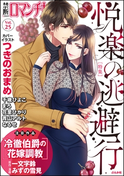 禁断ＬｏｖｅｒｓロマンチカＶｏｌ．０２５悦楽の逃避行 [ぶんか社]