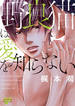 野良猫は愛を知らない [ジュネット]