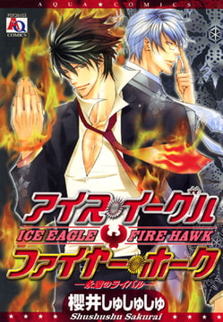 アイス・イーグル ファイヤー・ホーク [オークラ出版]