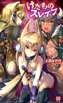 けだものスレイブ [キルタイムコミュニケーション]