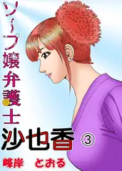 ソープ嬢弁護士3