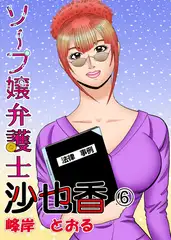 ソープ嬢弁護士6