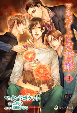 アルバイトＫの苦難 3 [株式会社シーラボ]