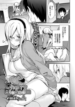 Cherry Blossom [文苑堂]