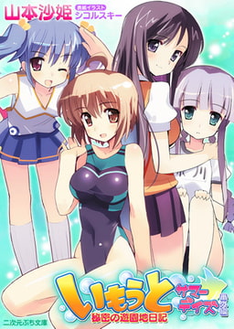 いもうとサマーデイズ番外編 秘密の遊園地日記 [キルタイムコミュニケーション]