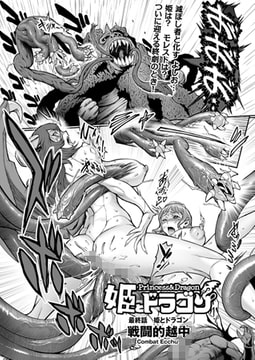 姫とドラゴン（11） [リイド社]