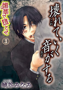 媚薬で堕とせ 3 ～壊れていく音がする～ [秋水社ORIGINAL]