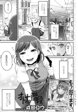 オトナの階段 [茜新社]