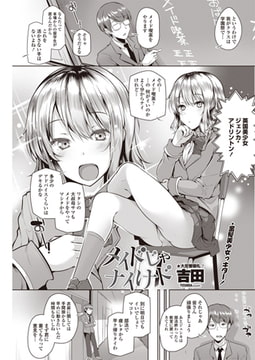 メイドじゃナイけド [辰巳出版]