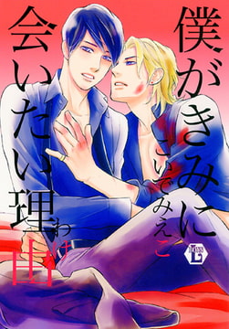 僕がきみに会いたい理由 [光彩書房]