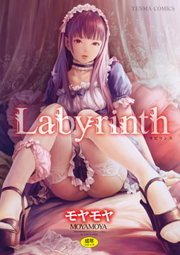 Labyrinth【DLsite限定特典付き】 [茜新社]