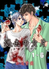 過去の欠片 [グループ・ゼロ]