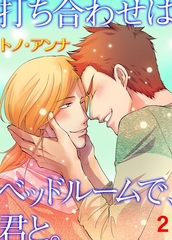 打ち合わせはベッドルームで、君と。　2 [グループ・ゼロ]