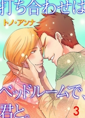 打ち合わせはベッドルームで、君と。　3 [グループ・ゼロ]