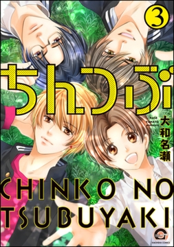 ちんつぶ　3 [海王社]